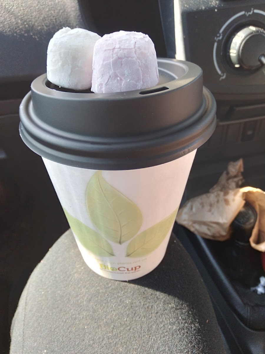 Bobhat Espresso Photos 2